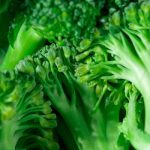 AI-Powered Fridges: Can They Really Reduce Food Waste?